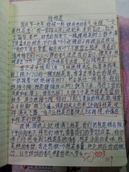 400个单词描述桂花