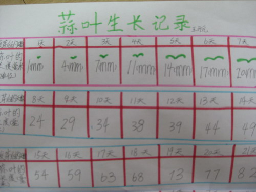关于观察日记