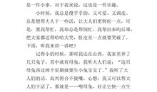 有趣的发现作文300字