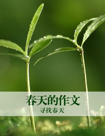 春季发现组成