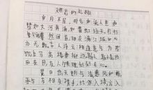 难忘的微笑作文