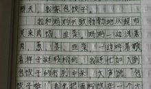 包饺子作文350字