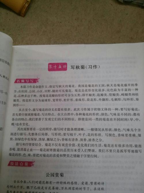 200字写菊花