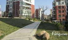 凭海临风读后感