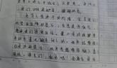 550字的读后感