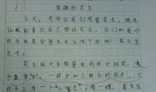 五年级观察日记