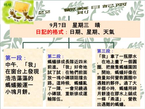 两本观察​​日记