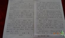 树林里的发现作文