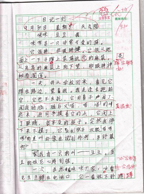 观察日记组成