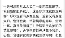 我的优点作文500字