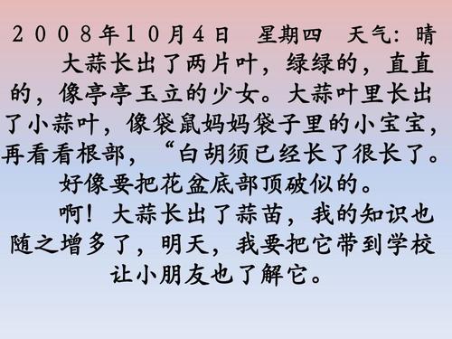 我的观察日记