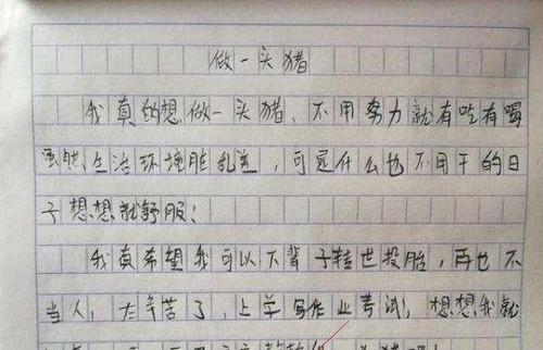 手机的优缺点