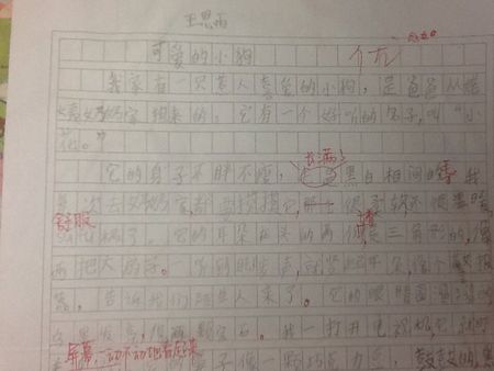 我和小狗500字