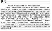 秋雨作文500字