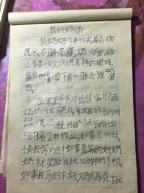 我奶奶高中作文