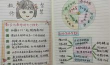 创造力培养最优秀的孩子的读后感