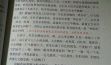 难忘的教训作文300字