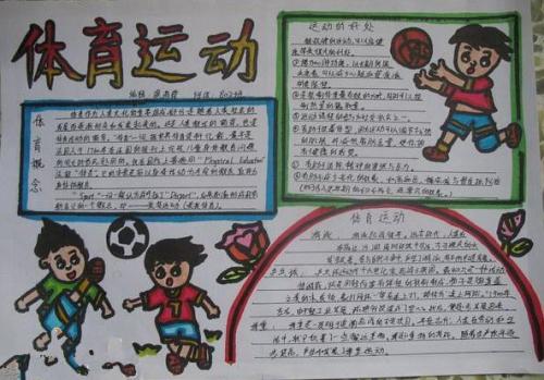 体育构成