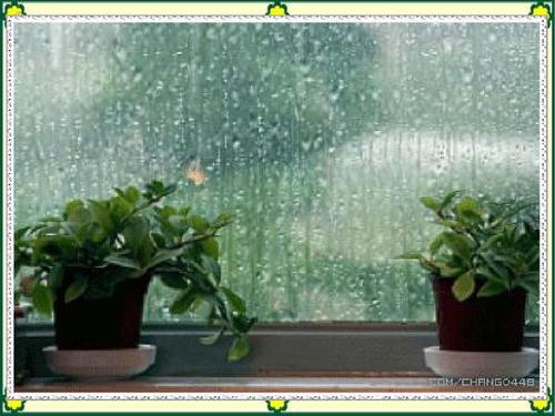 小学作文秋雨