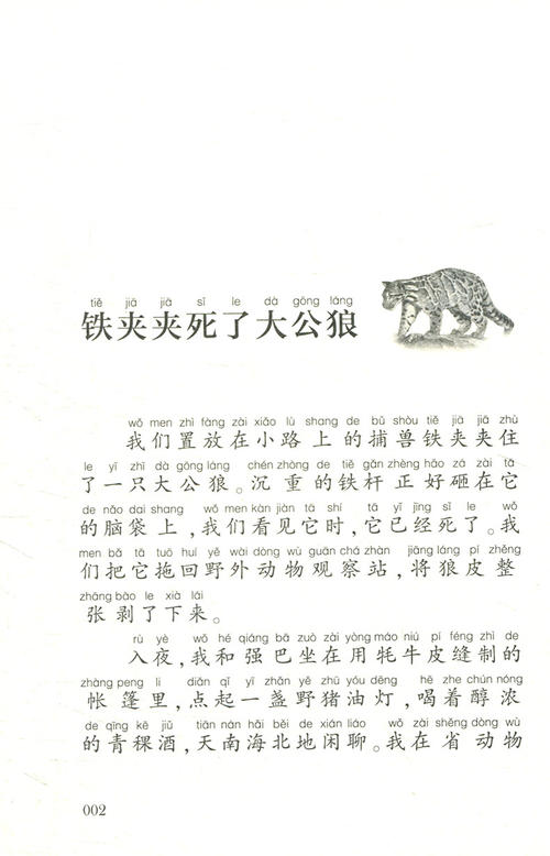 看完狼妻