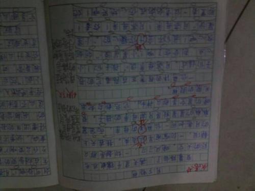 难忘的中秋夜作文