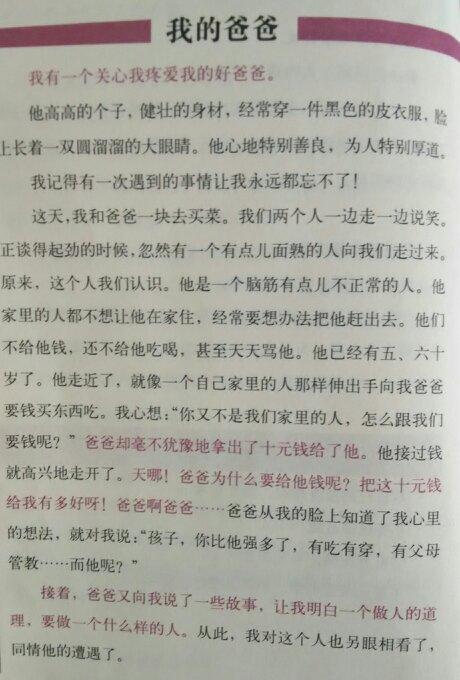 我的外貌组成