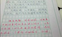 我发现了什么作文300字