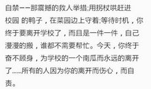 生命的追问读后感