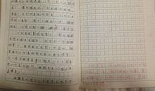 观察小白兔的作文