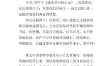 滴水穿石读后感100字