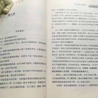 羊皮纸八读