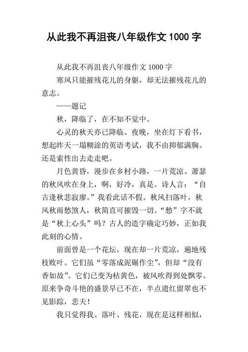 我不会再写了