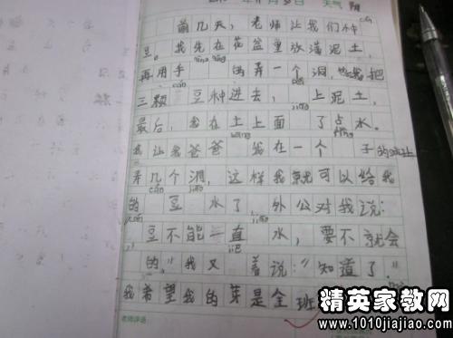 观察桃花日记