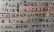 我的姐姐作文500字