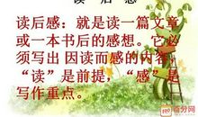 红色经典读后感800字