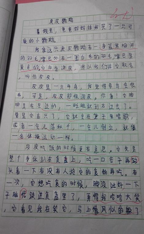 从小学到中学的组成