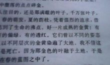 关于描写秋雨的作文