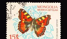 介绍邮票的作文