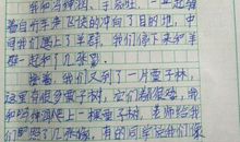 关于记事的作文