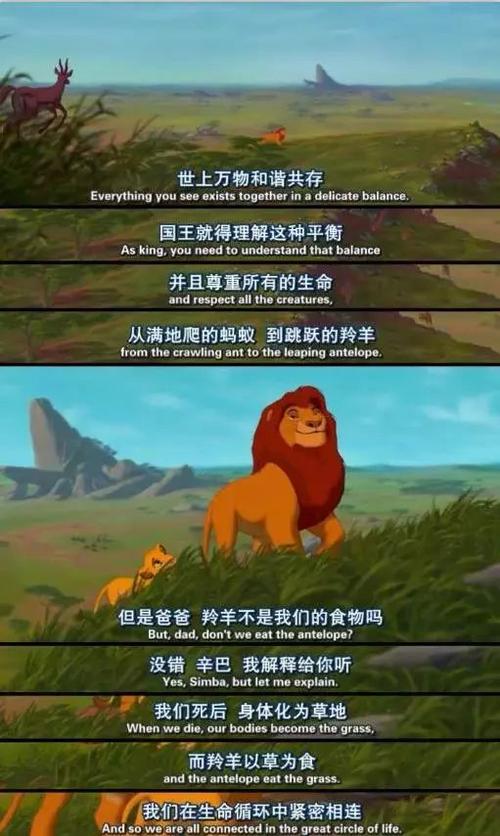 我终于明白了