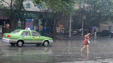 暴雨成分