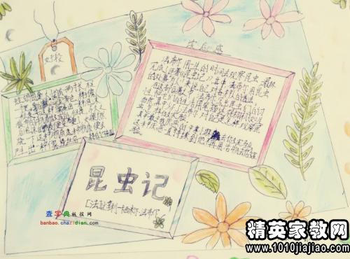看了昆虫之后
