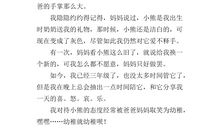玩具小熊作文