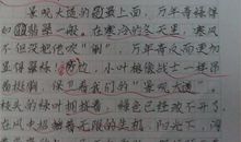 介绍我的家作文400字