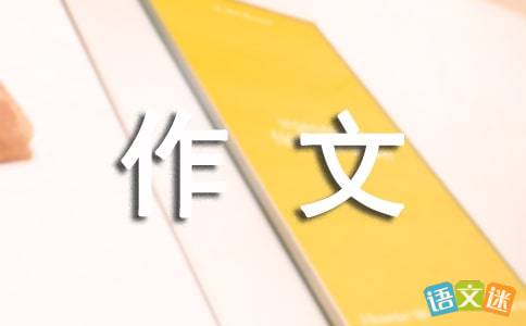 悠悠球作文简介