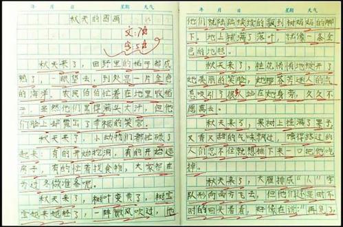小学笔记组成