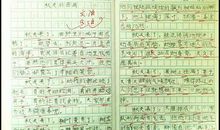 小学生记事作文