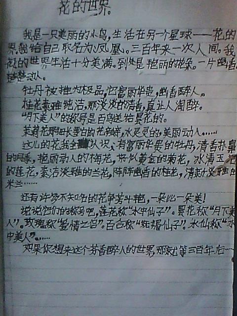 偶然发现组成