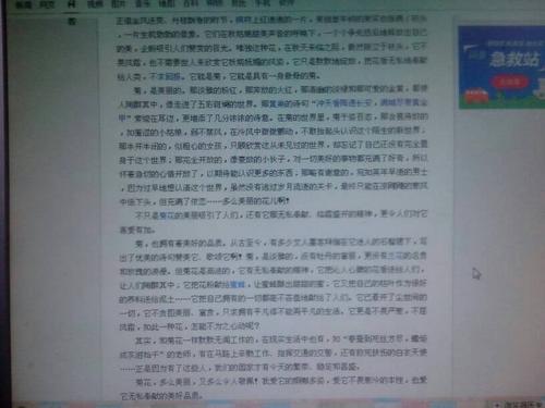 菊花组成500字