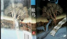 根鸟读后感450字